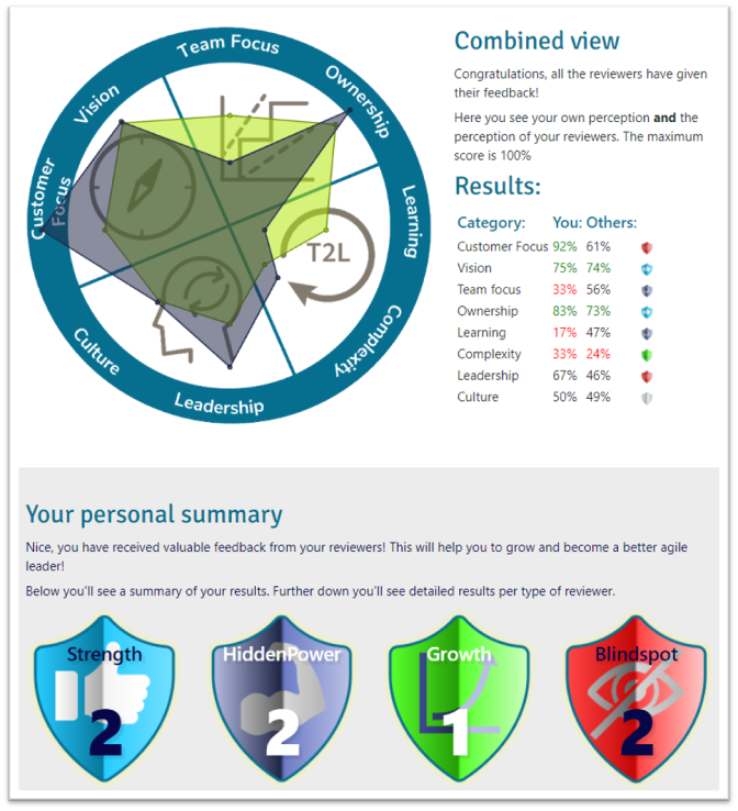 Example report Agile Leadership 360